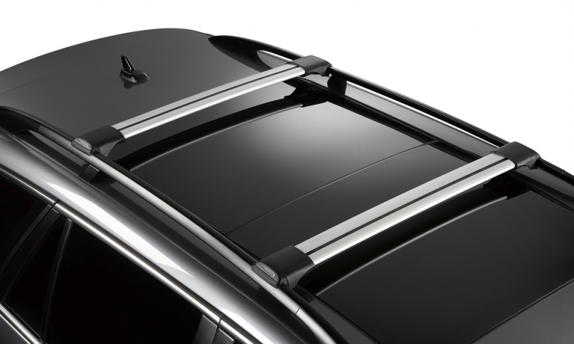 BOXY DACHOWE